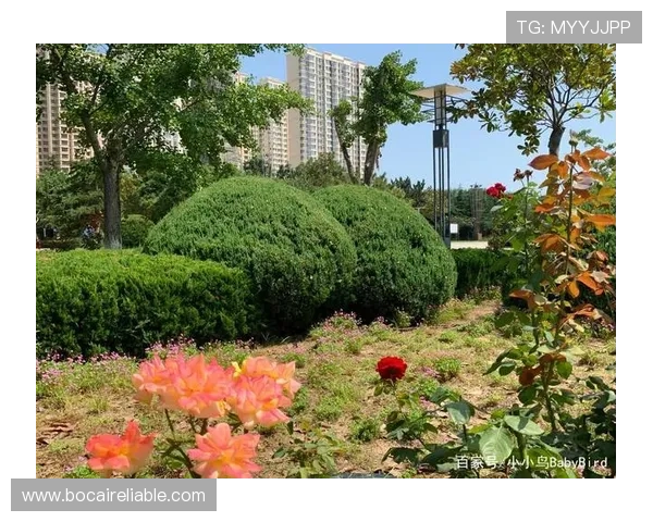 威海乐天休闲体育公园的历史背景与发展历程，了解这个休闲场所的文化底蕴与未来规划
